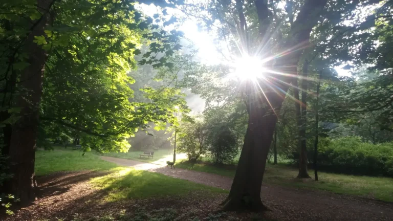 Kalisz pielgrzymka biuro horeb suwałki